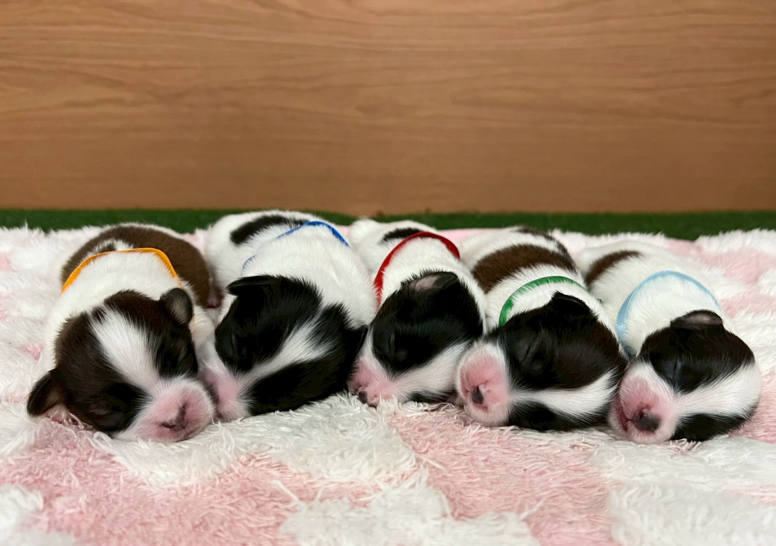 赤ちゃん写真1-3