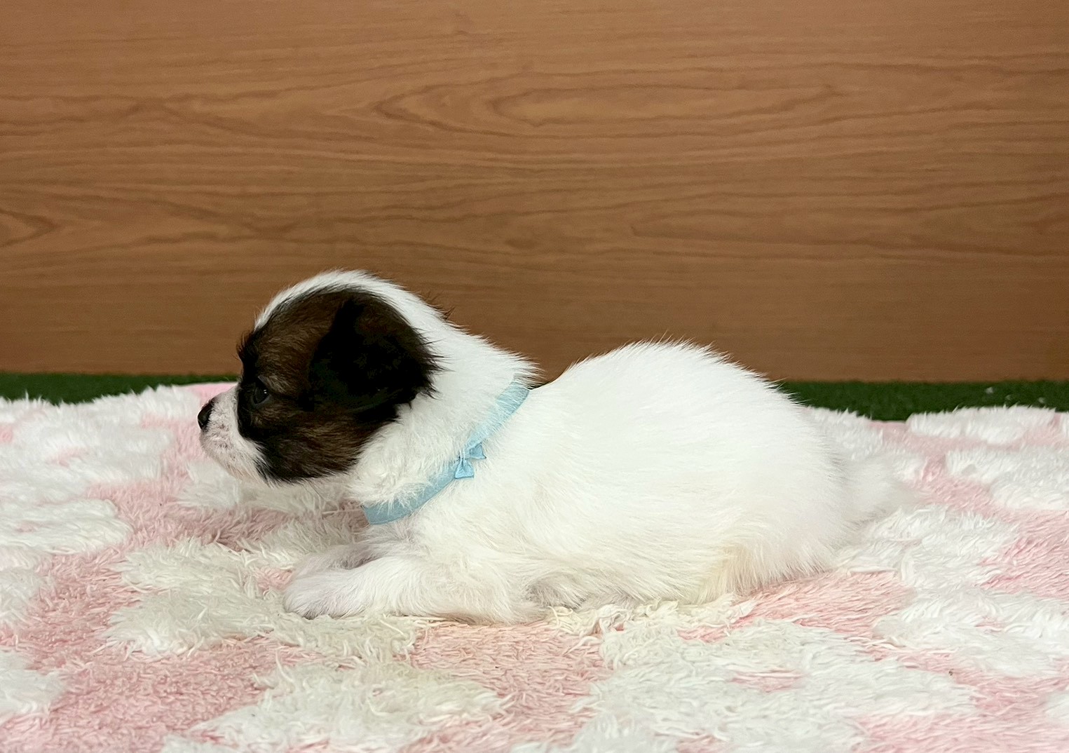 赤ちゃん写真2-2