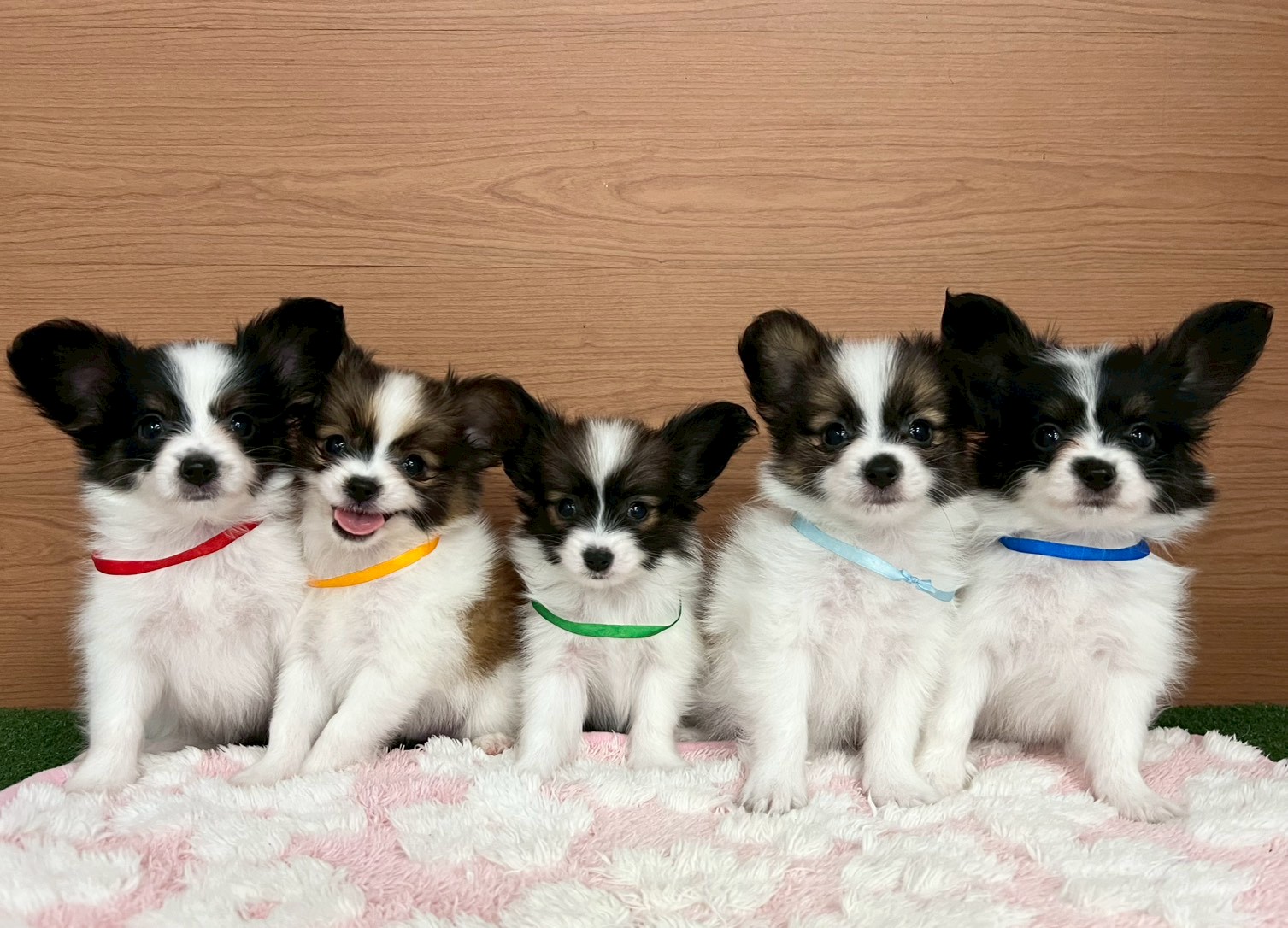 赤ちゃん写真3-3