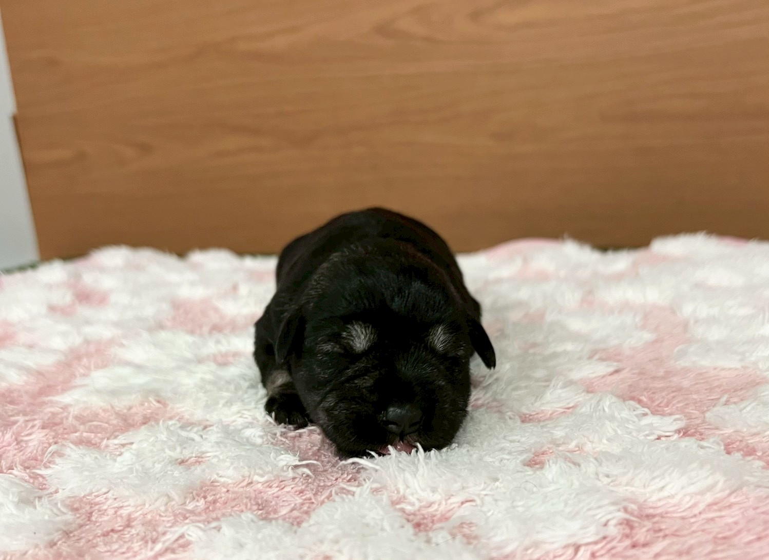 赤ちゃん写真1-1