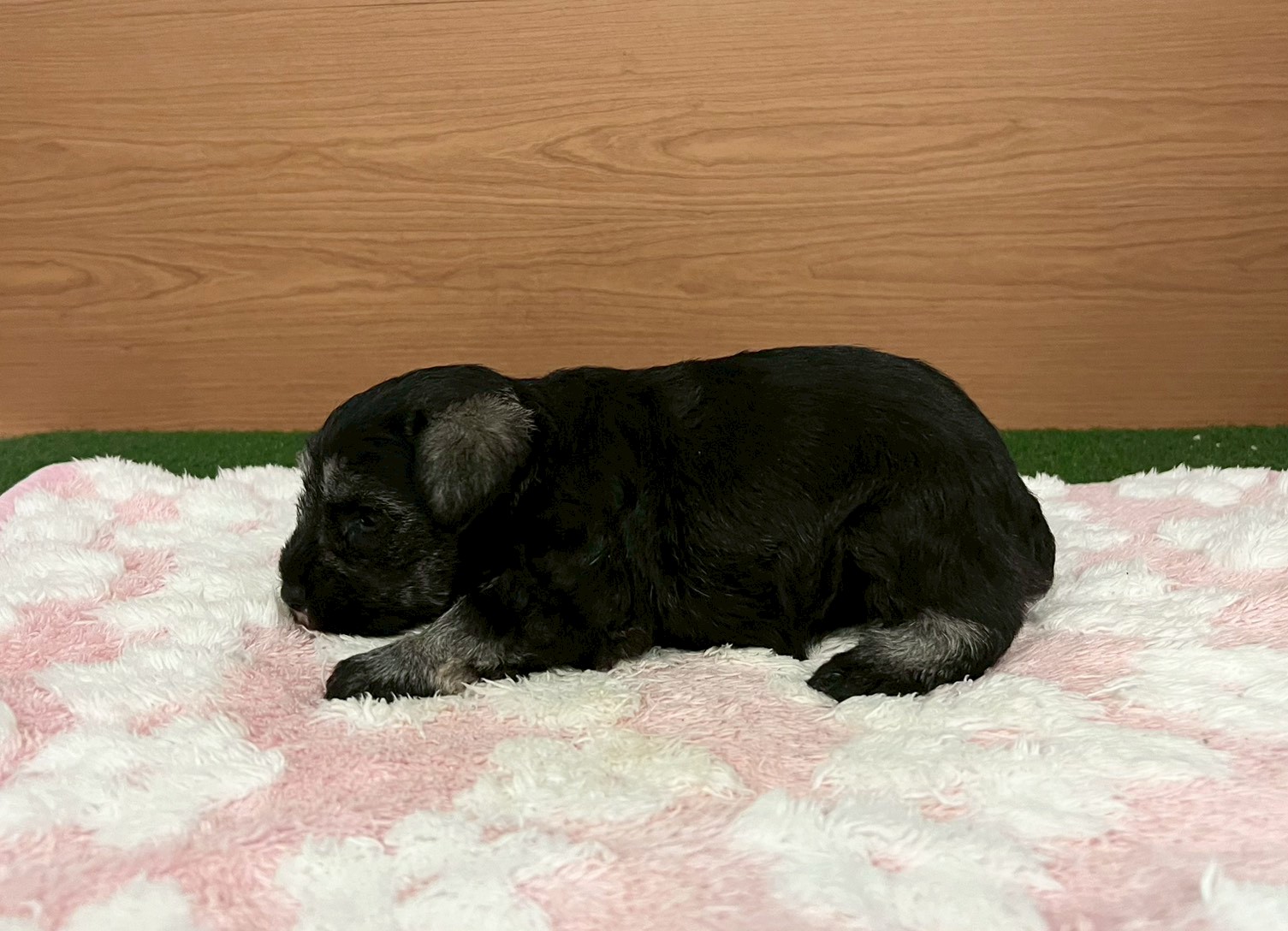 赤ちゃん写真2-2