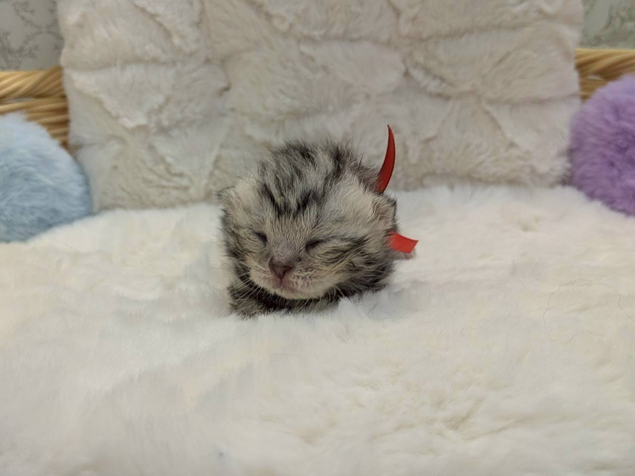 赤ちゃん写真1-1