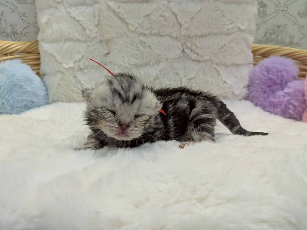 赤ちゃん写真1-2