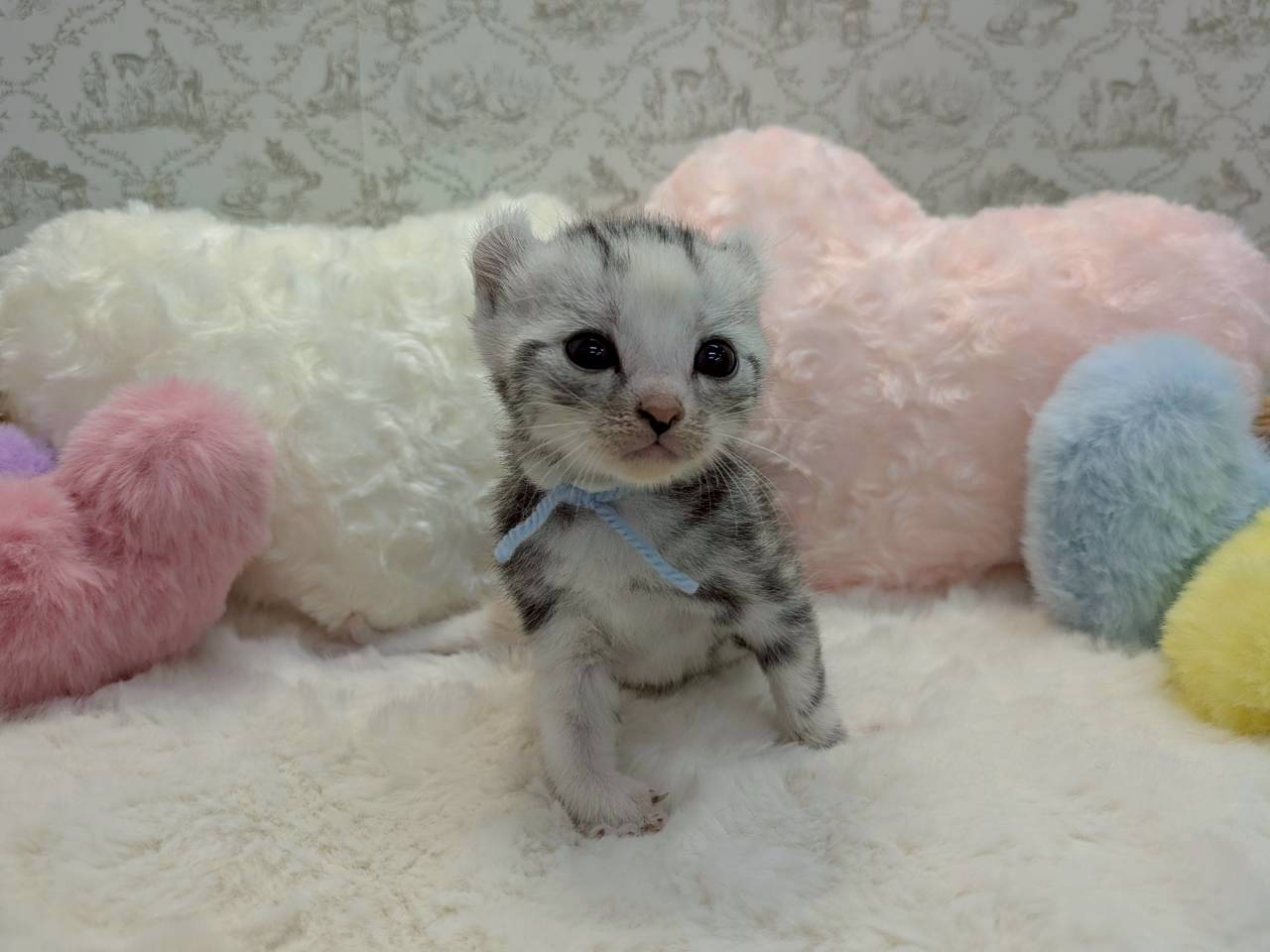 赤ちゃん写真1-1