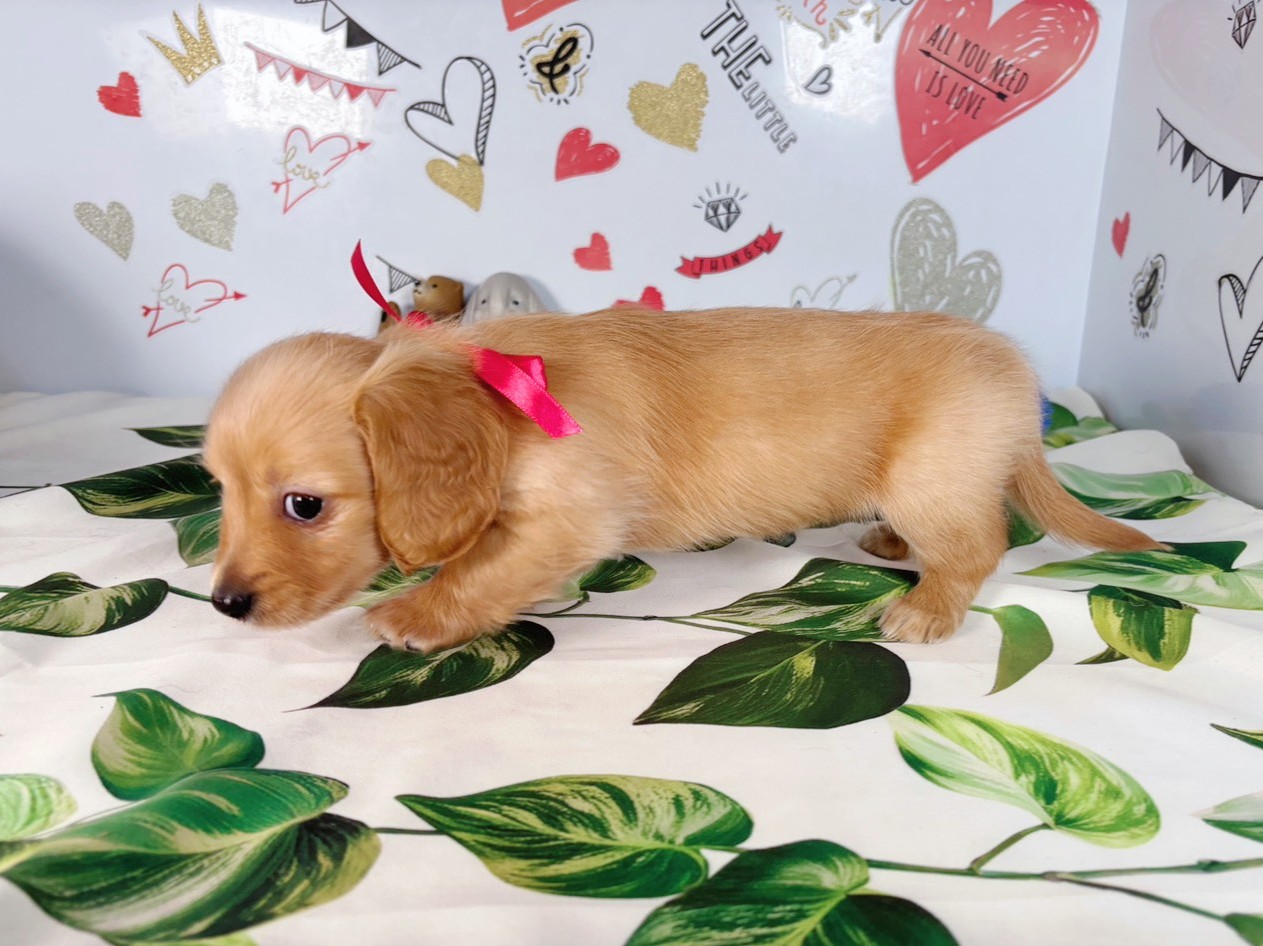 赤ちゃん写真2-2