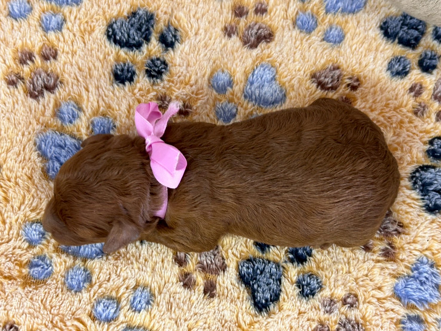 赤ちゃん写真1-3