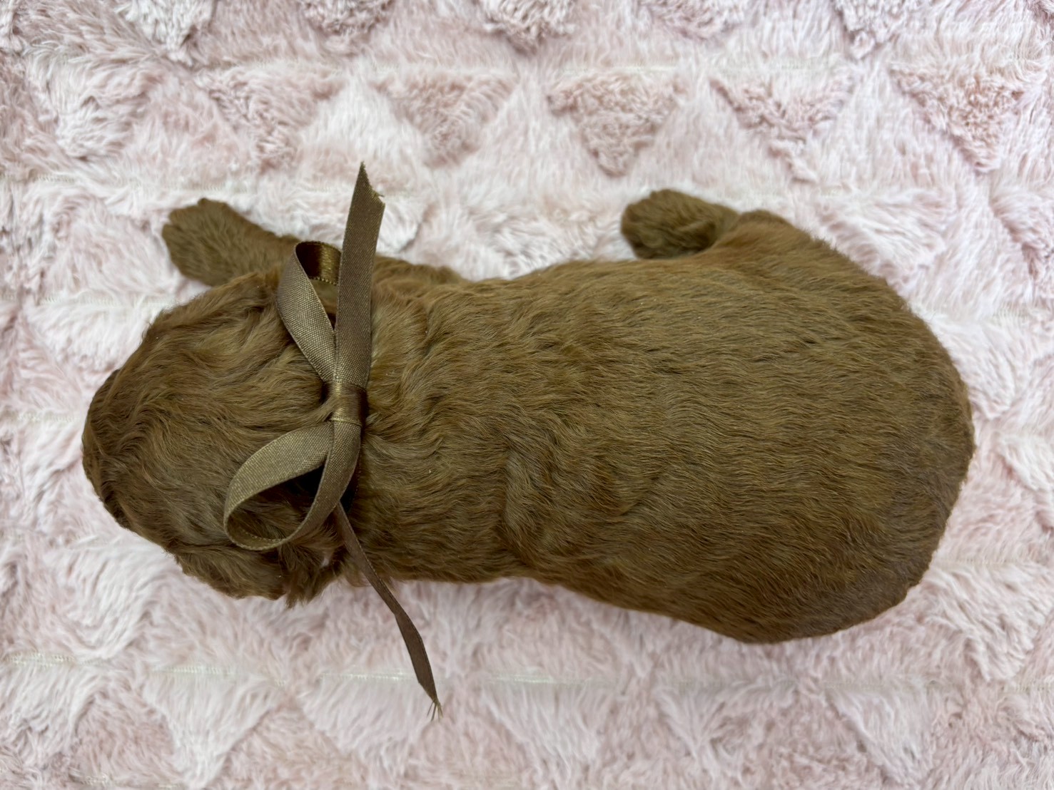 赤ちゃん写真2-3