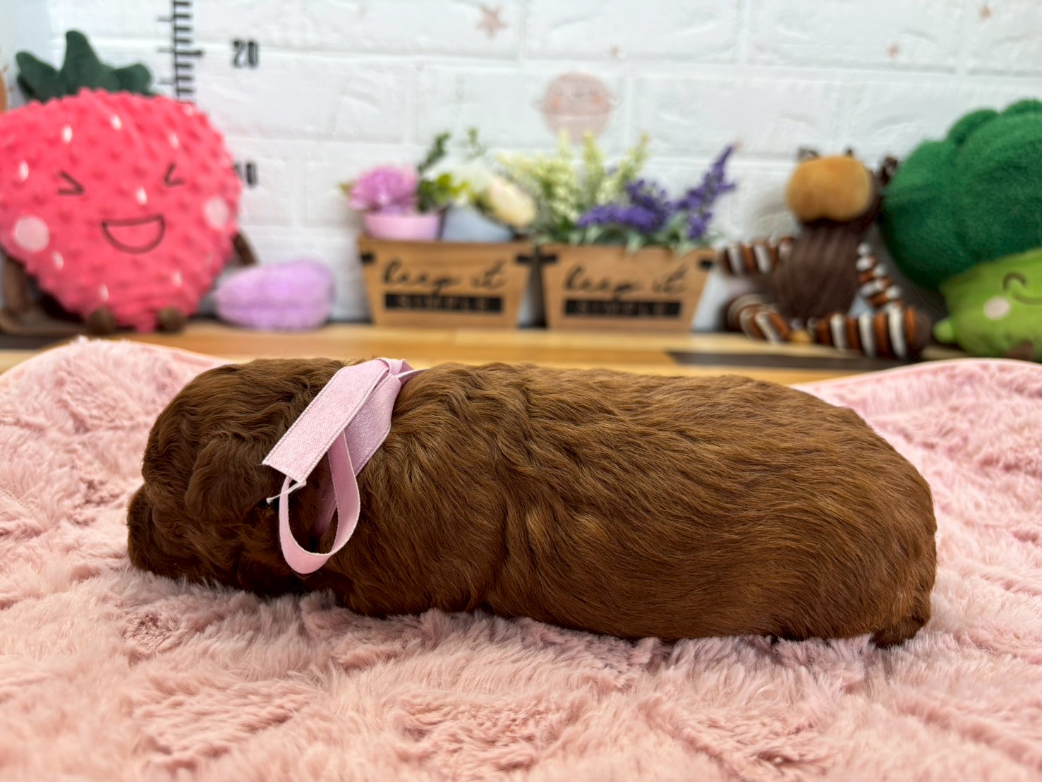 赤ちゃん写真2-2