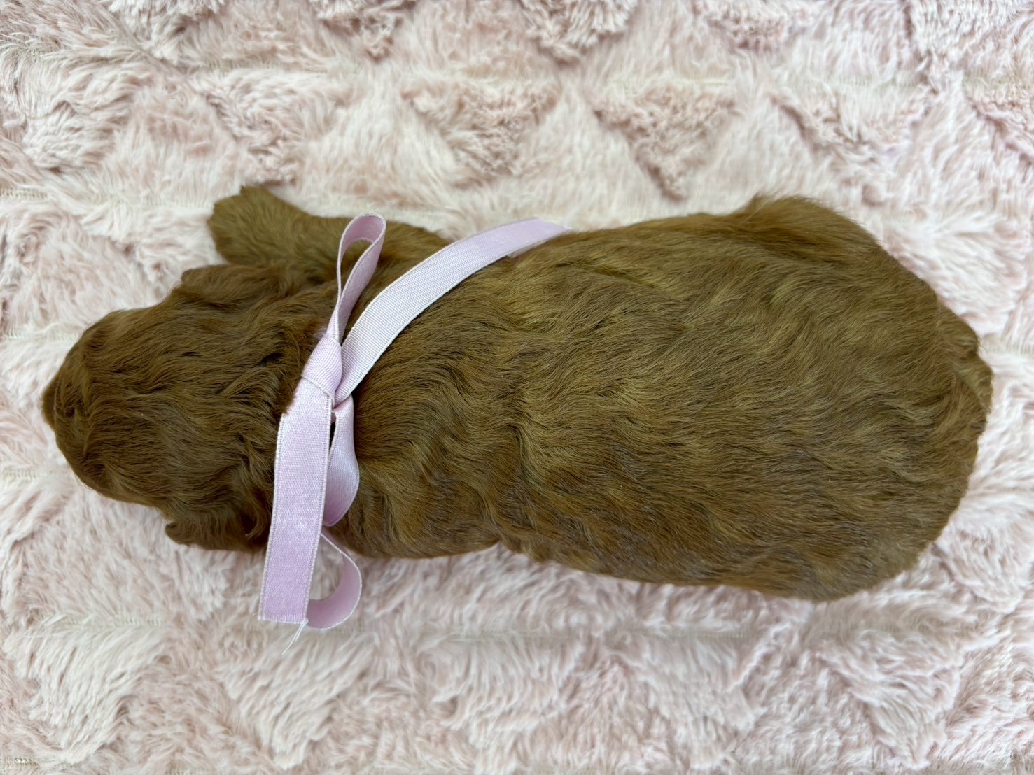 赤ちゃん写真2-3