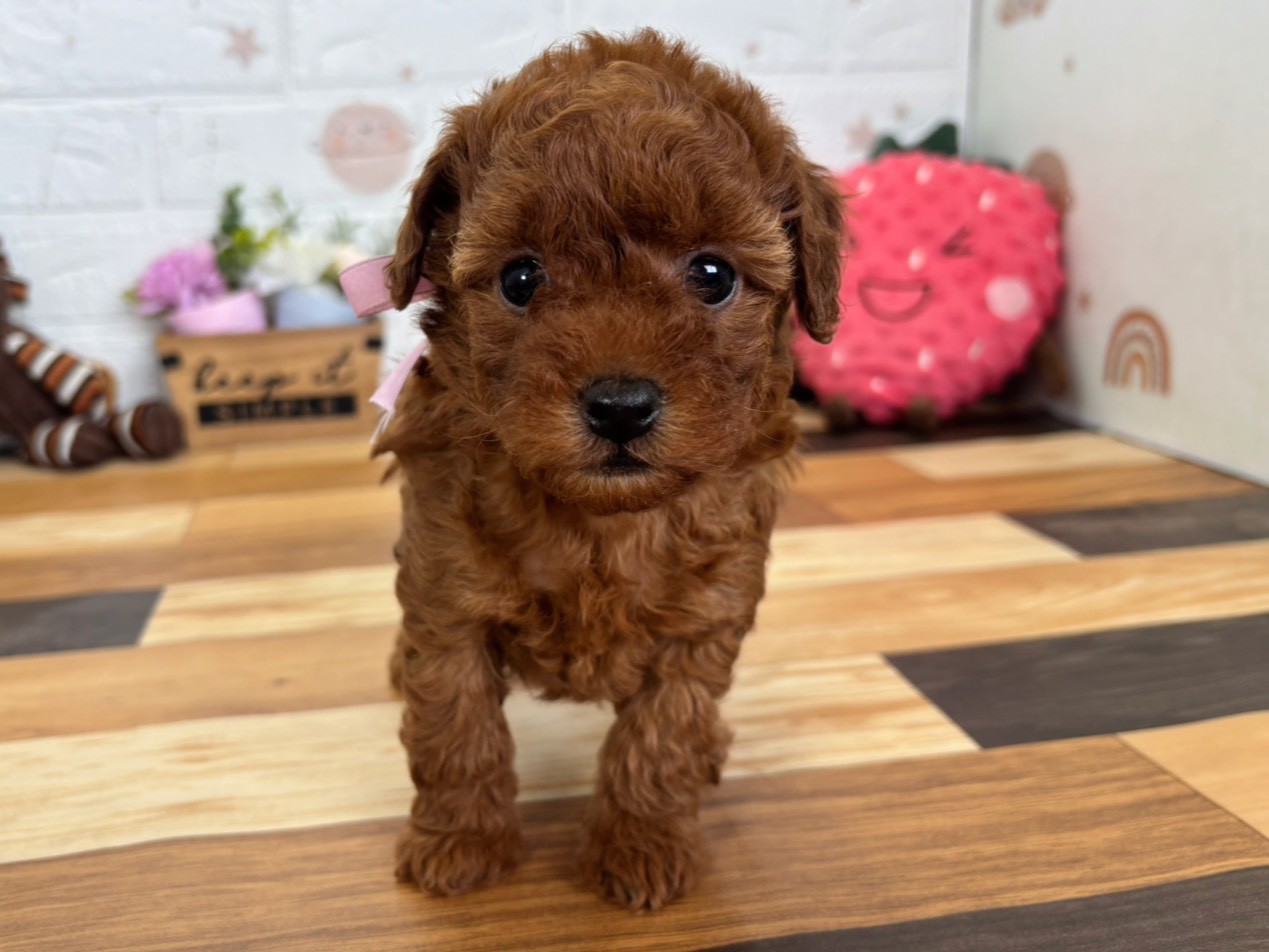 赤ちゃん写真3-1