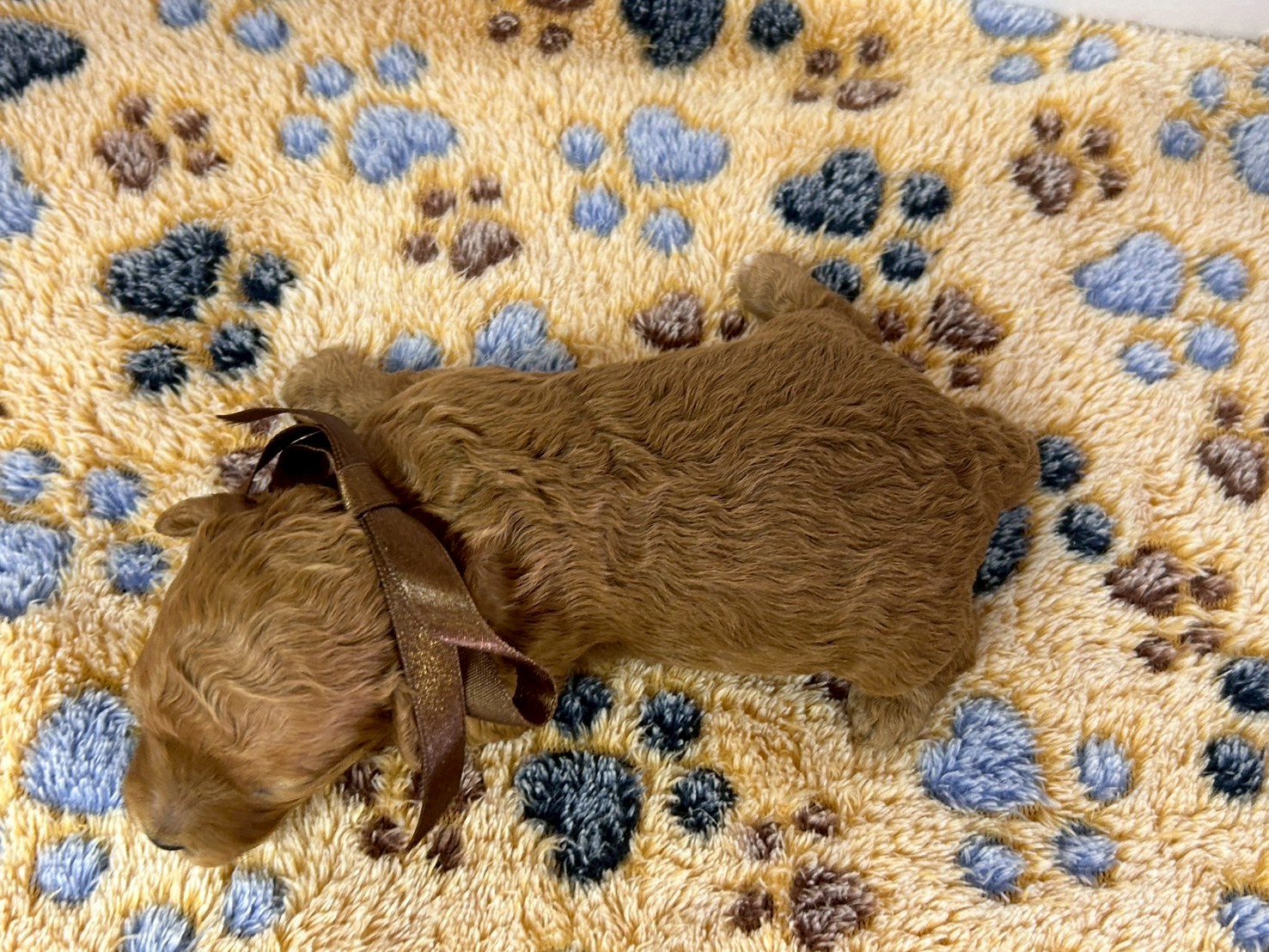 赤ちゃん写真1-3