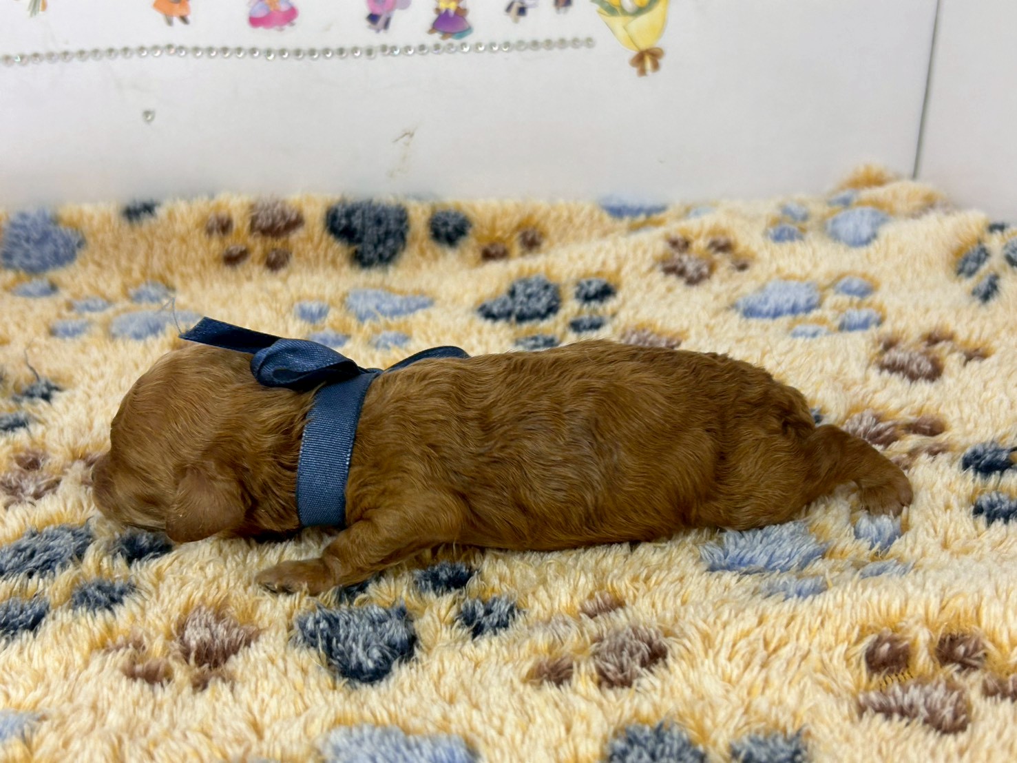 赤ちゃん写真1-2