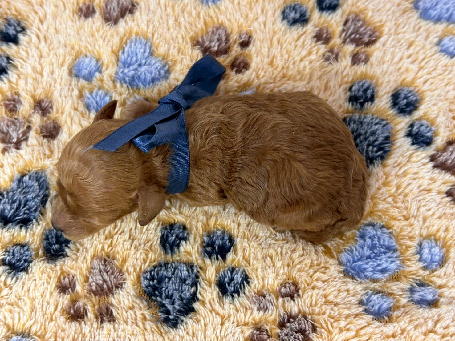 赤ちゃん写真1-3