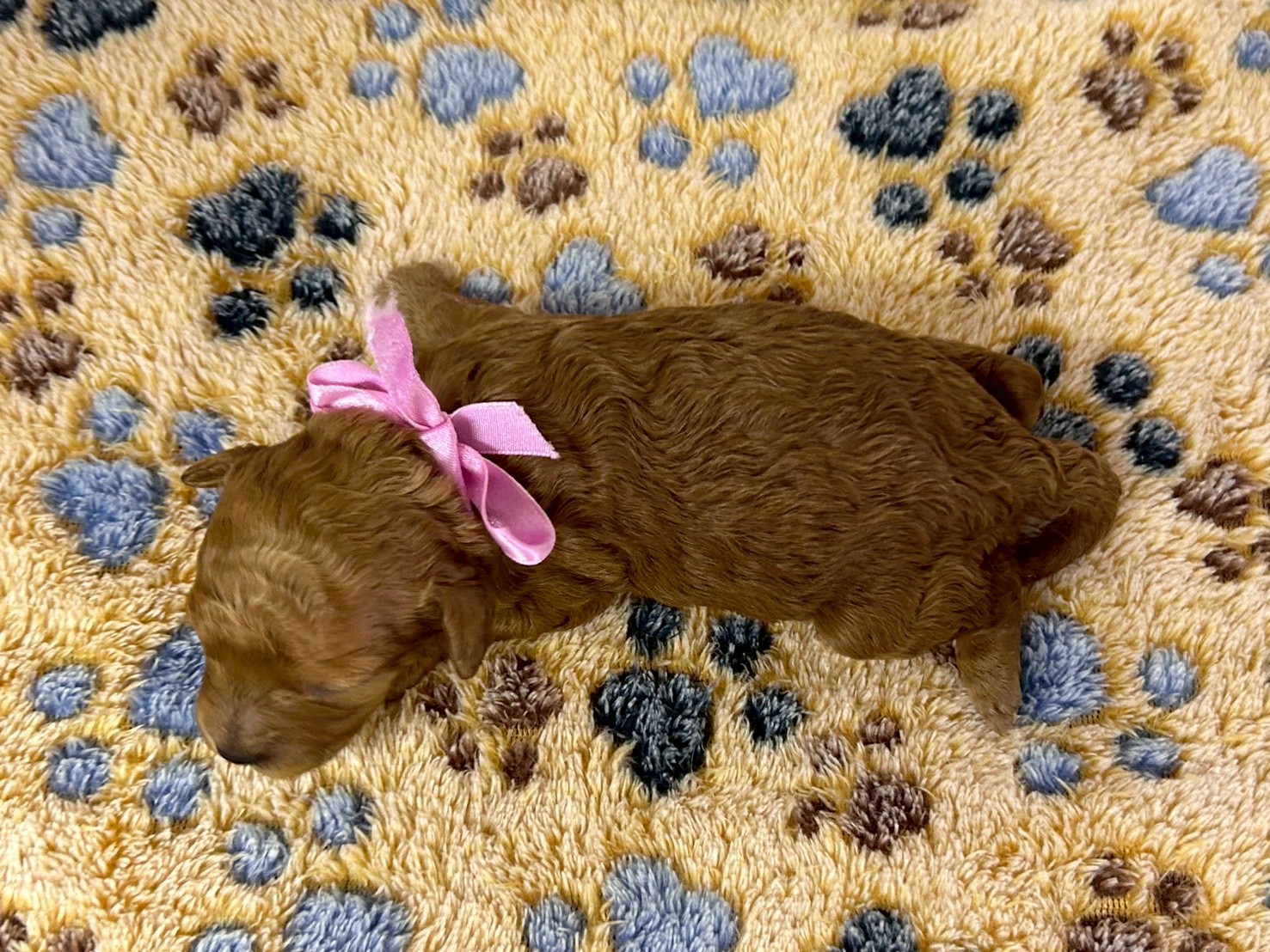 赤ちゃん写真1-3