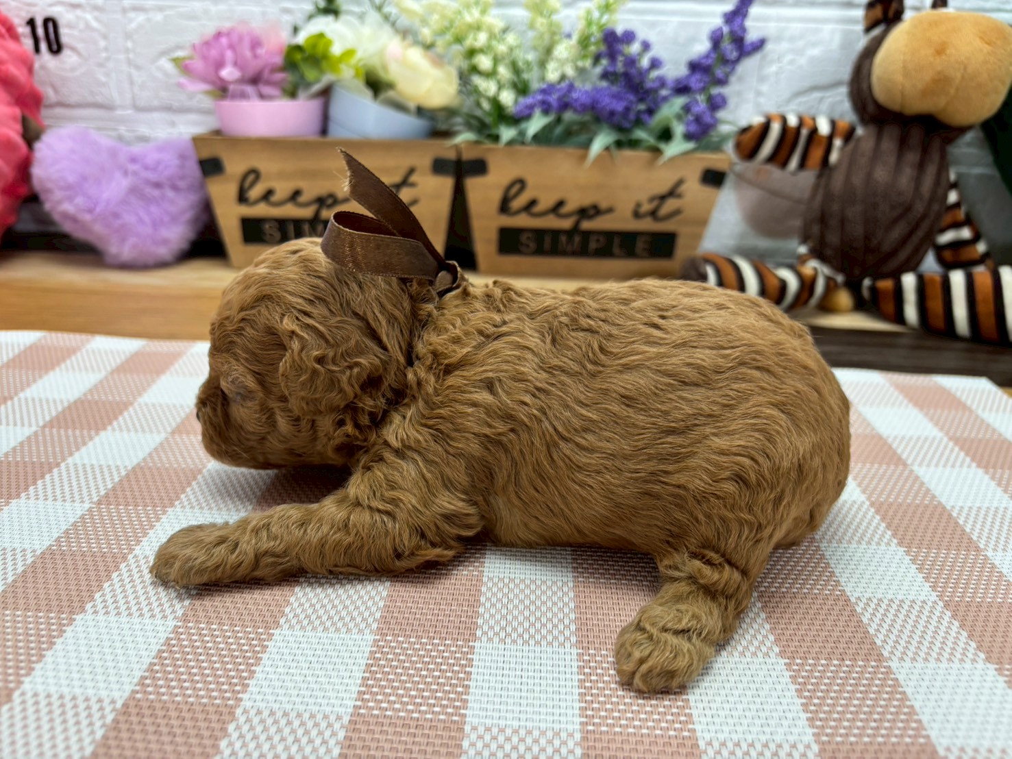 赤ちゃん写真2-2