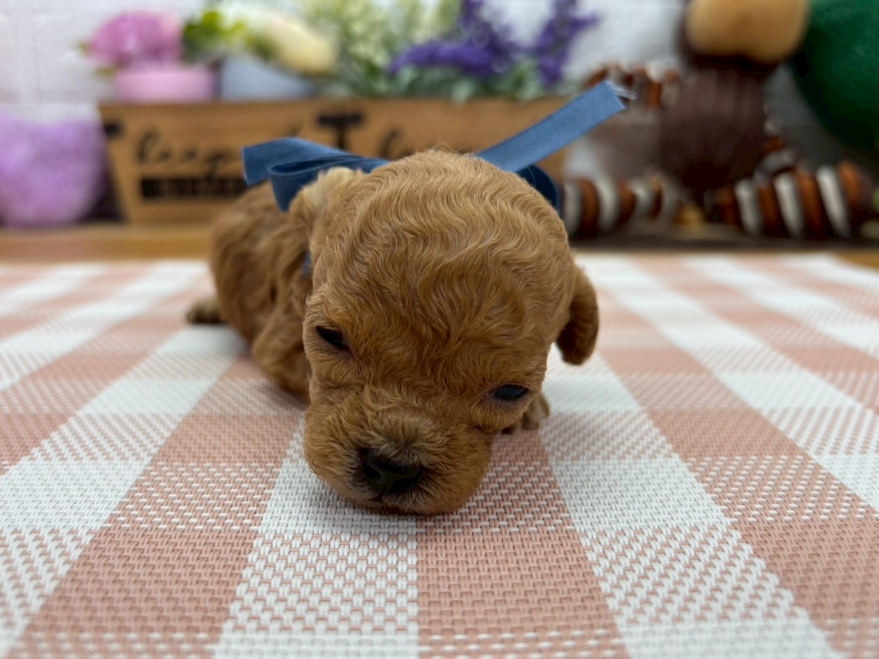 赤ちゃん写真2-1