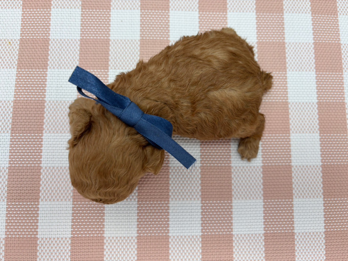 赤ちゃん写真2-3