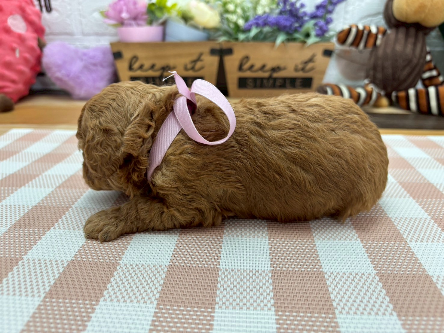 赤ちゃん写真2-2