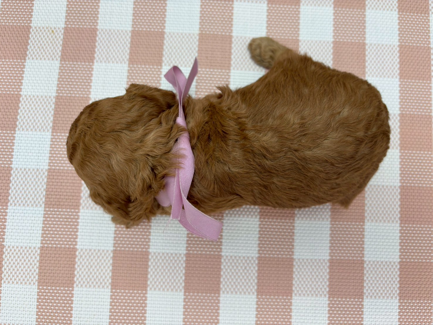 赤ちゃん写真2-3