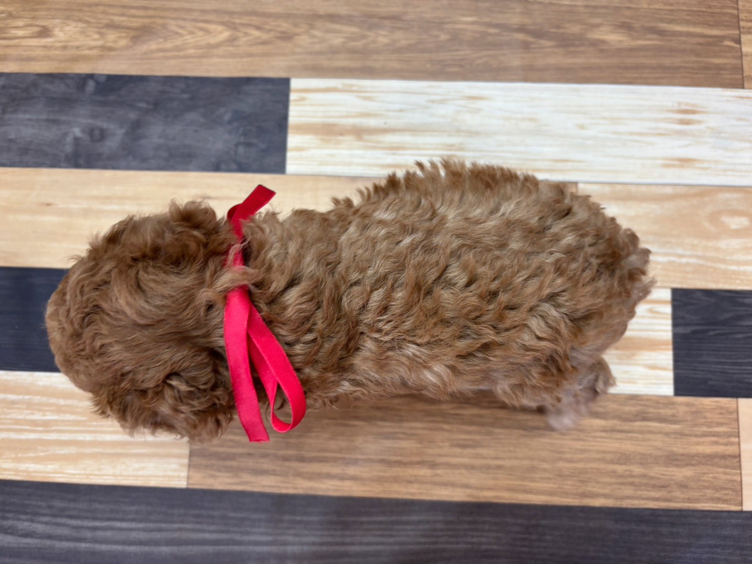 赤ちゃん写真3-3