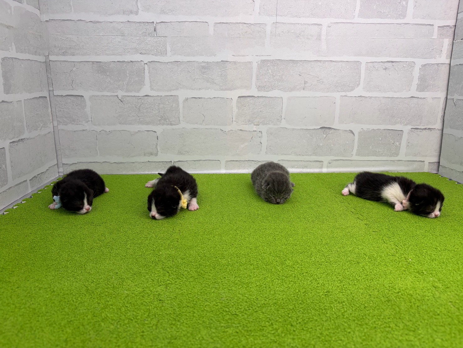 赤ちゃん写真1-3