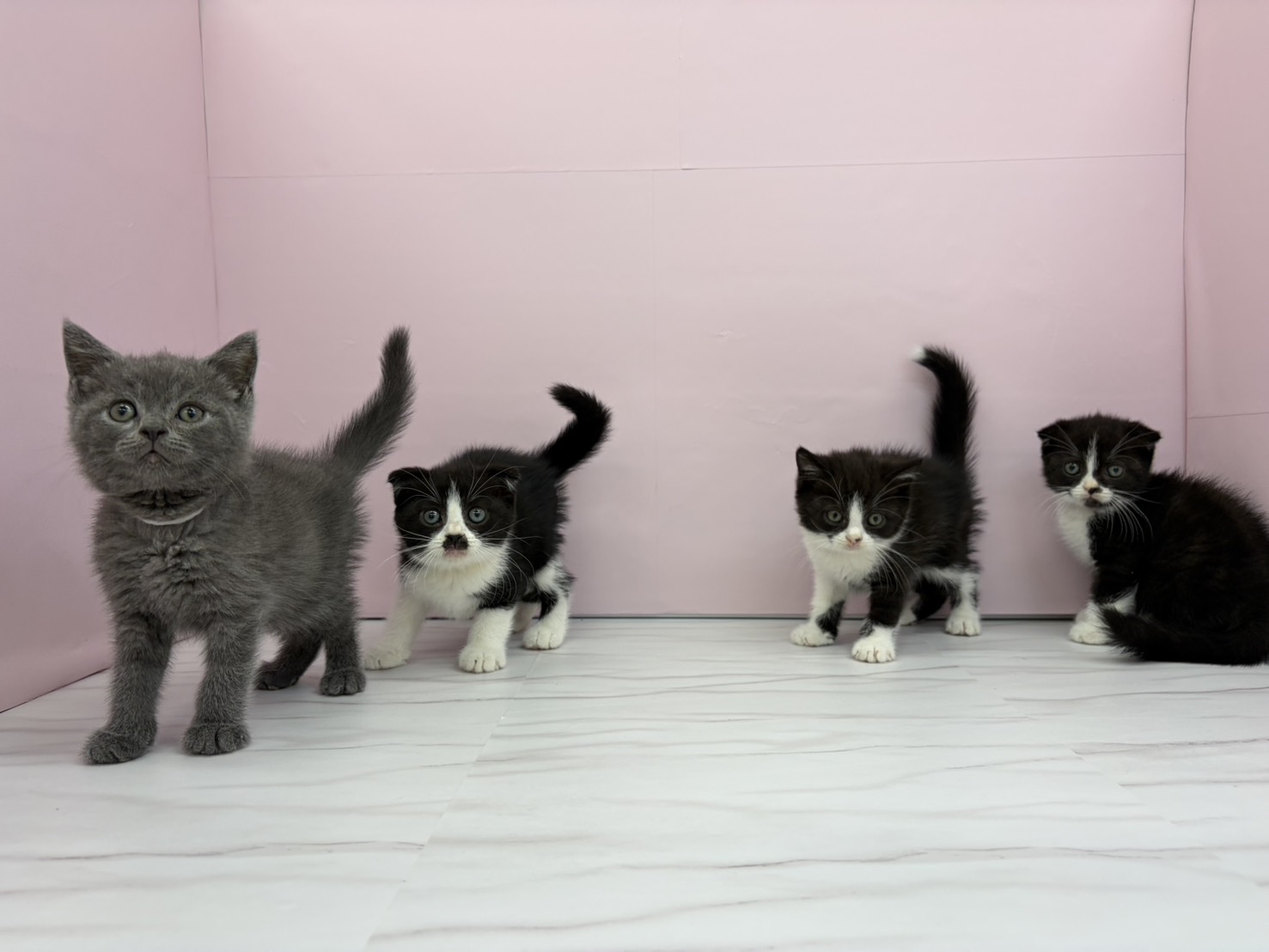 赤ちゃん写真2-3