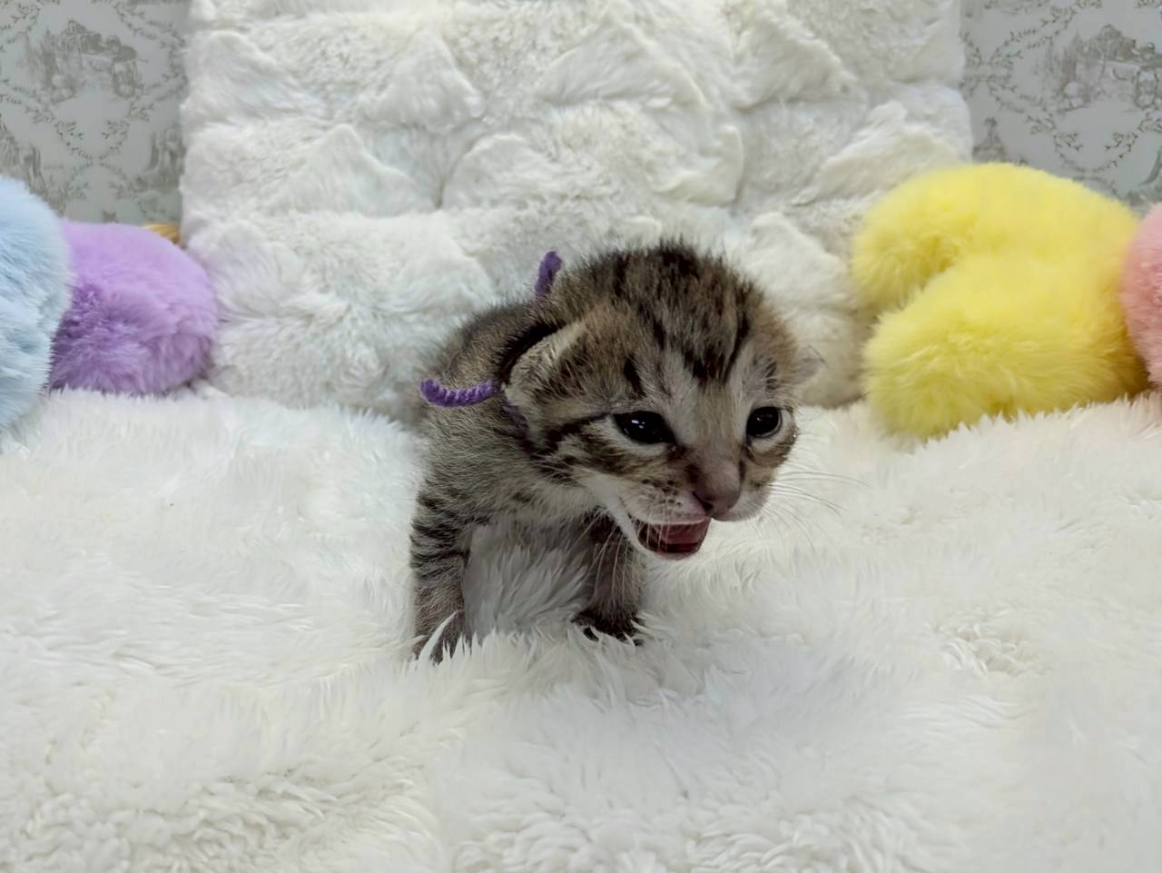 赤ちゃん写真1-1