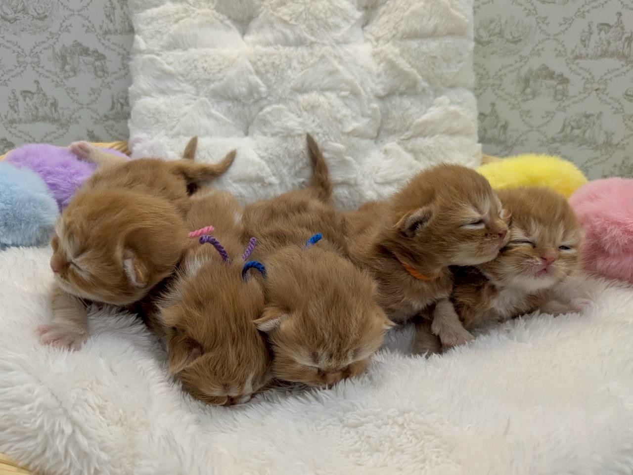 赤ちゃん写真1-3