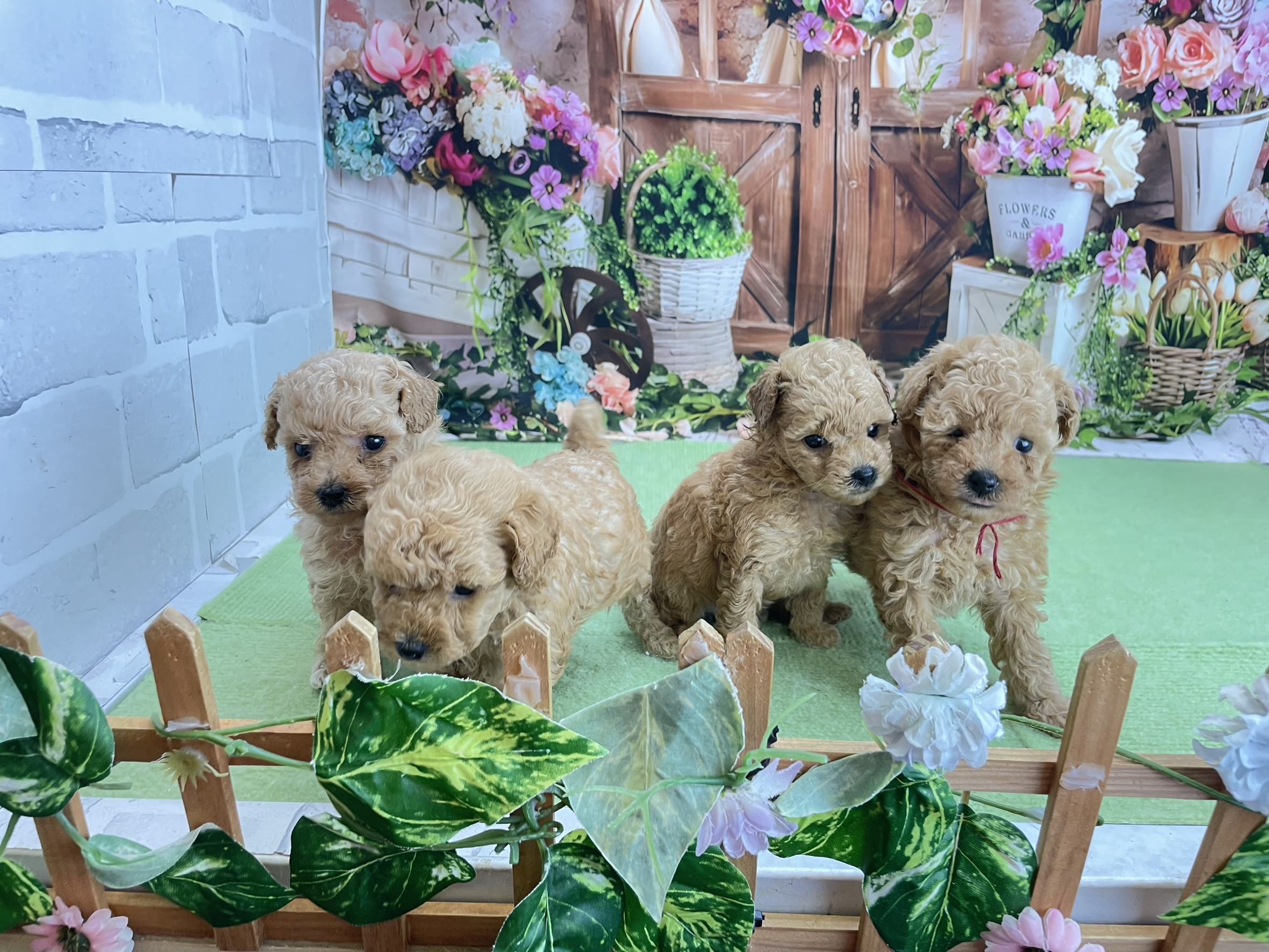 赤ちゃん写真2-3