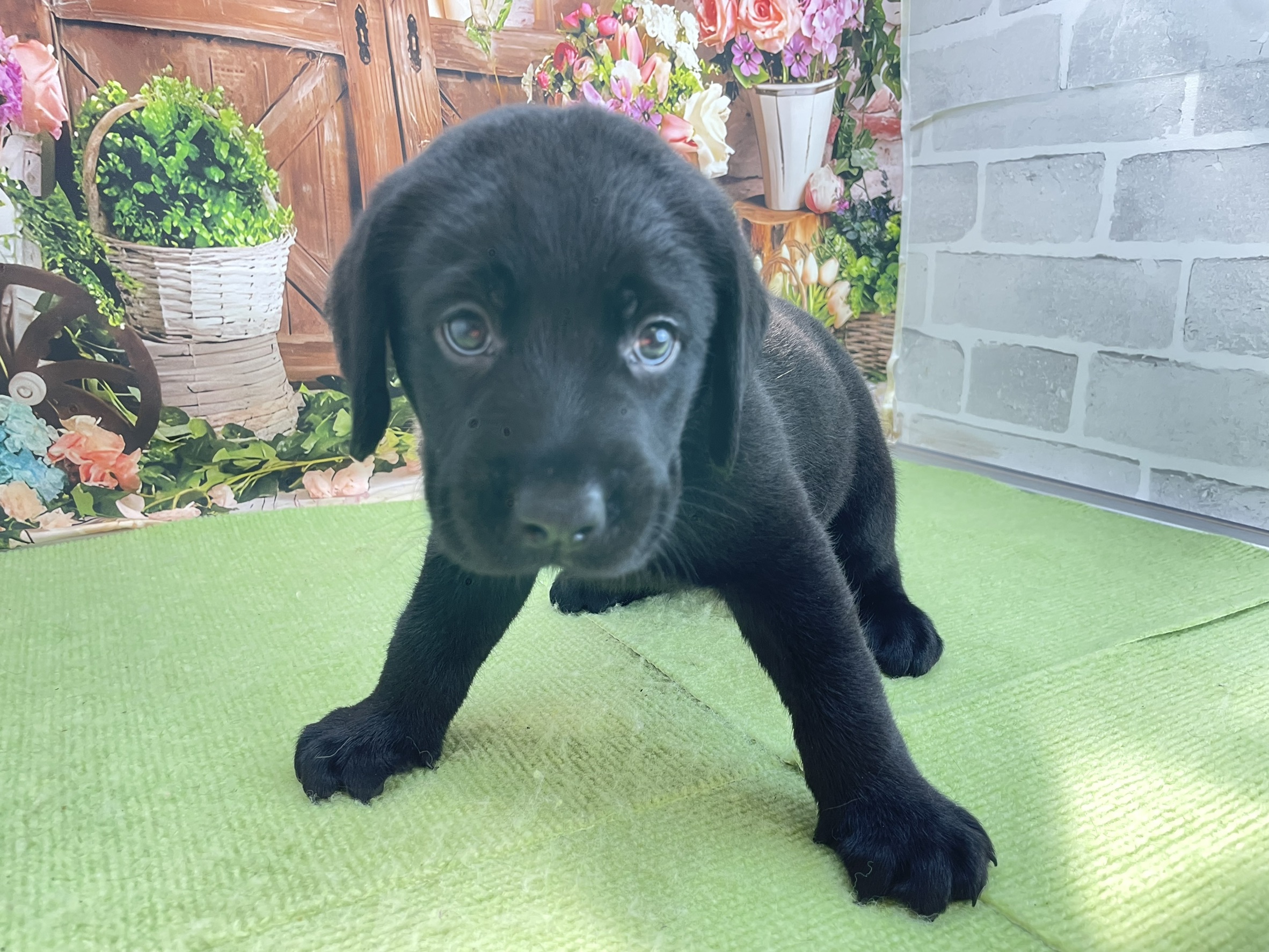 赤ちゃん写真2-1