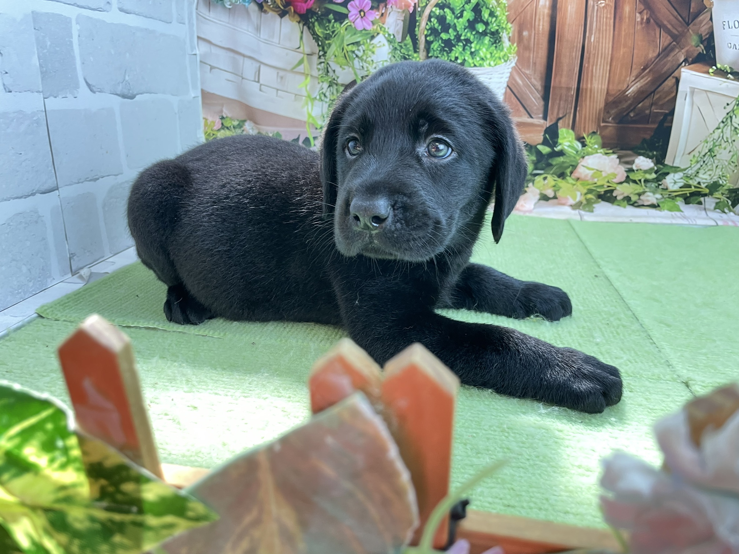 赤ちゃん写真2-2