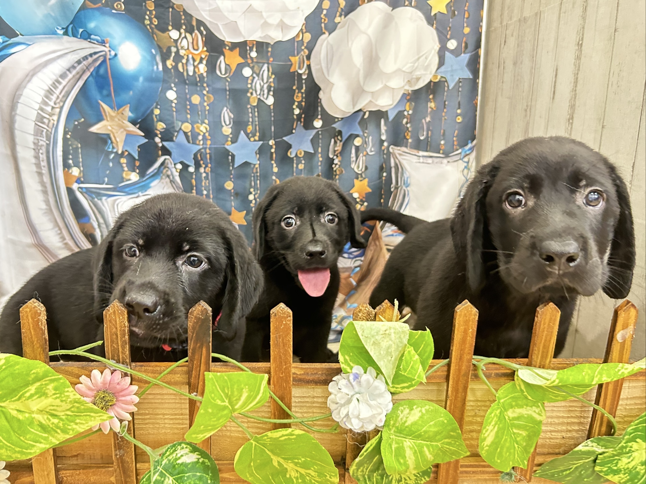 赤ちゃん写真3-3
