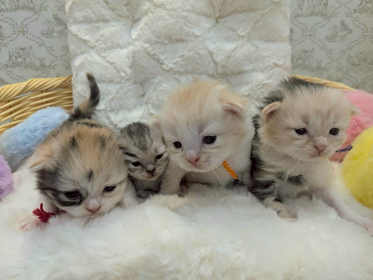 赤ちゃん写真1-3
