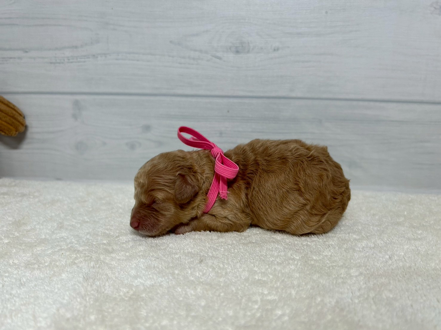 赤ちゃん写真1-2