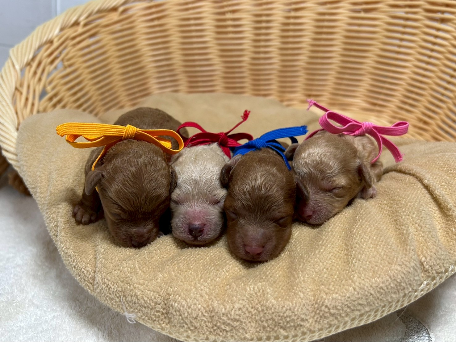 赤ちゃん写真1-3