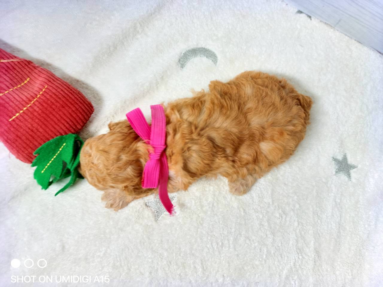 赤ちゃん写真2-3