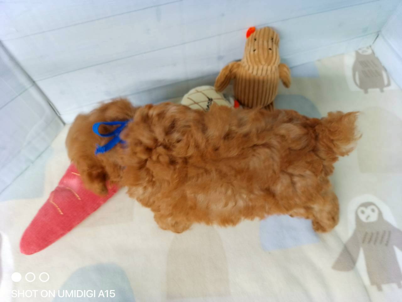赤ちゃん写真3-3