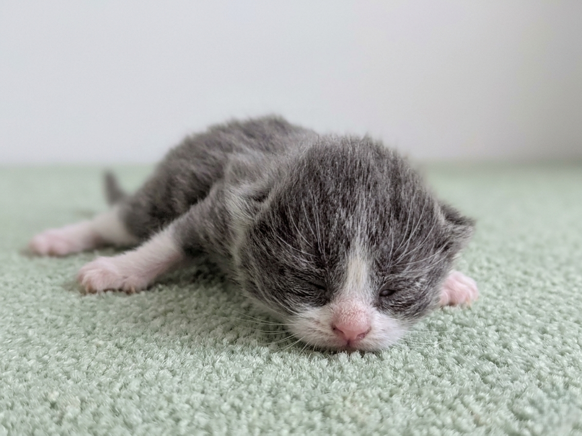 赤ちゃん写真1-1
