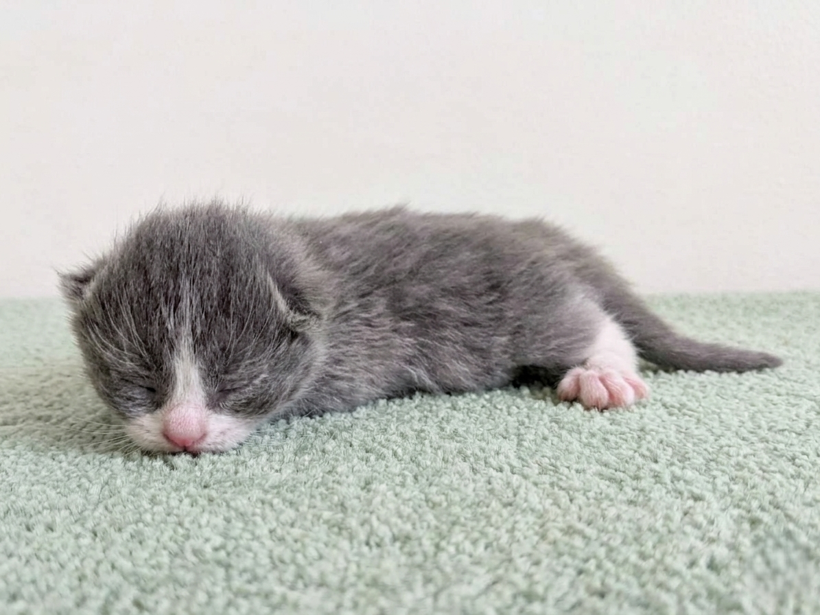 赤ちゃん写真1-2