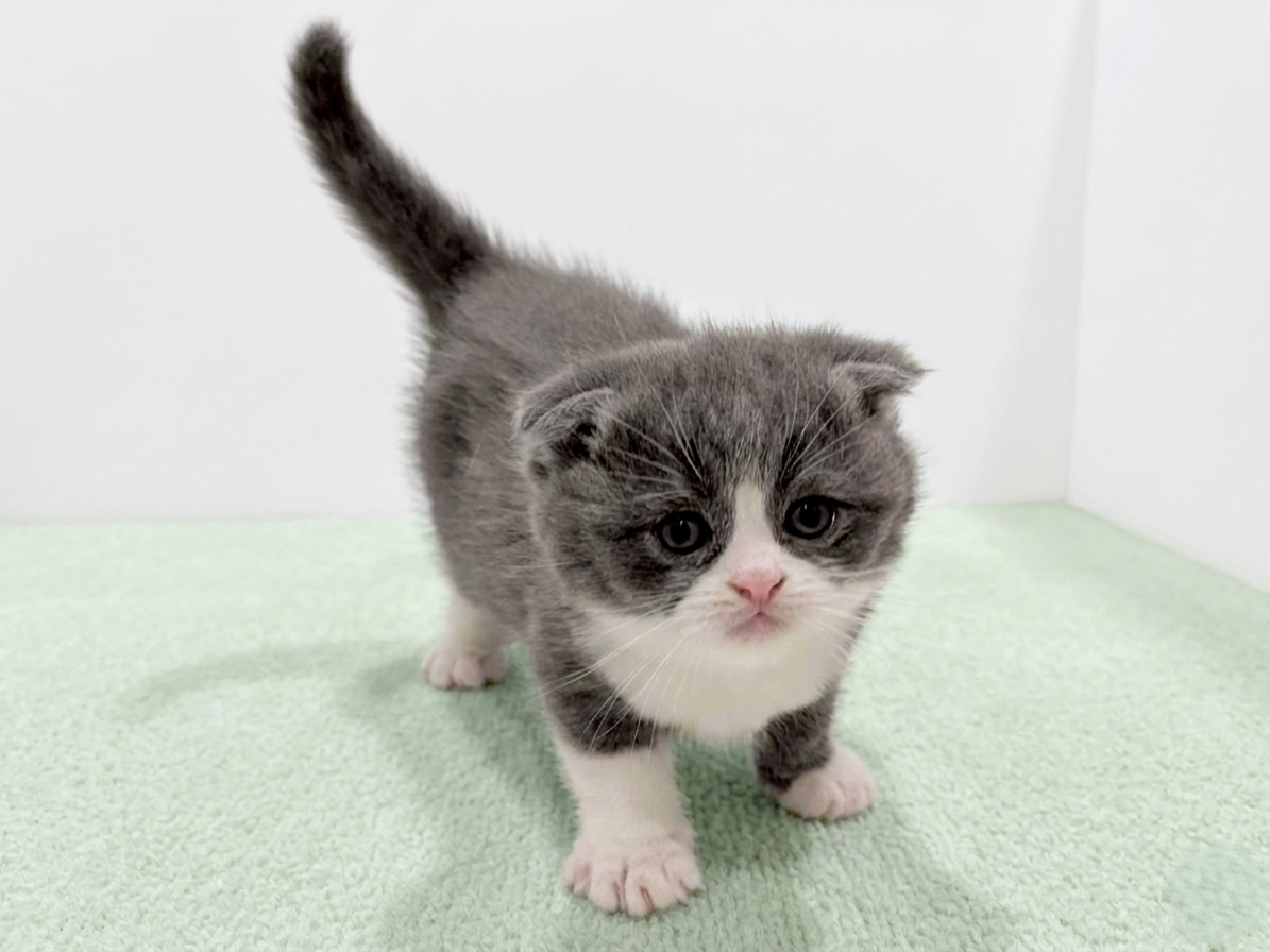 赤ちゃん写真2-1