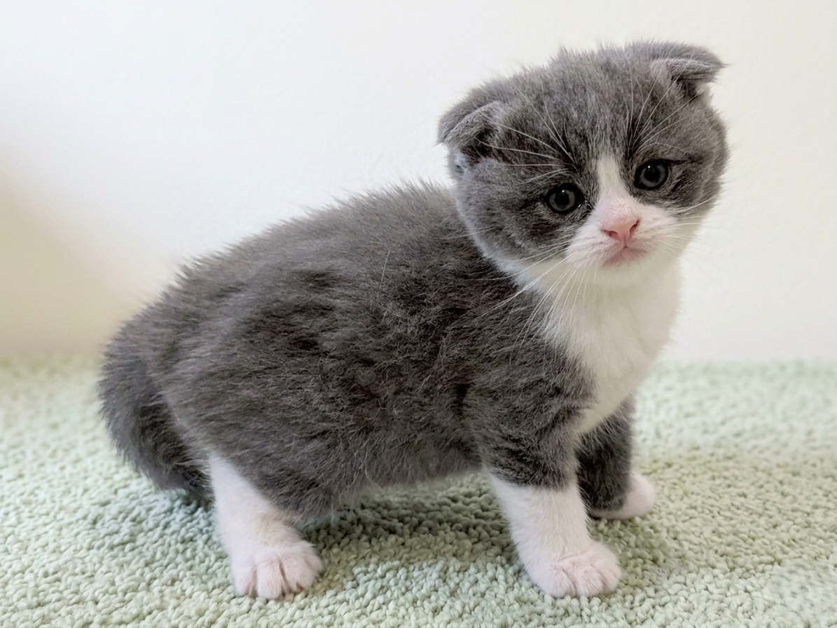 赤ちゃん写真2-2