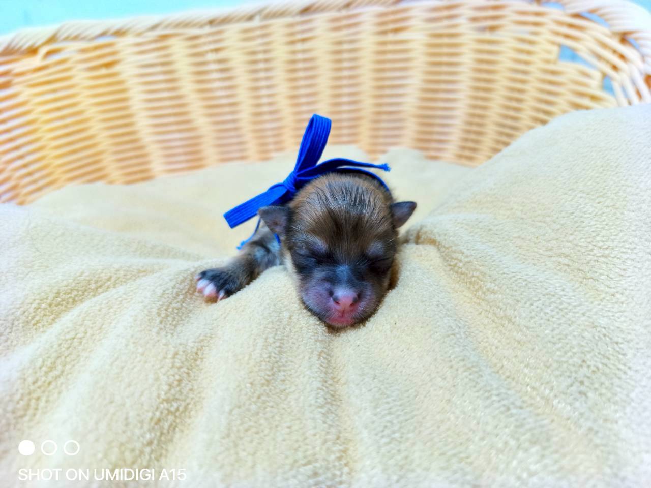 赤ちゃん写真1-1