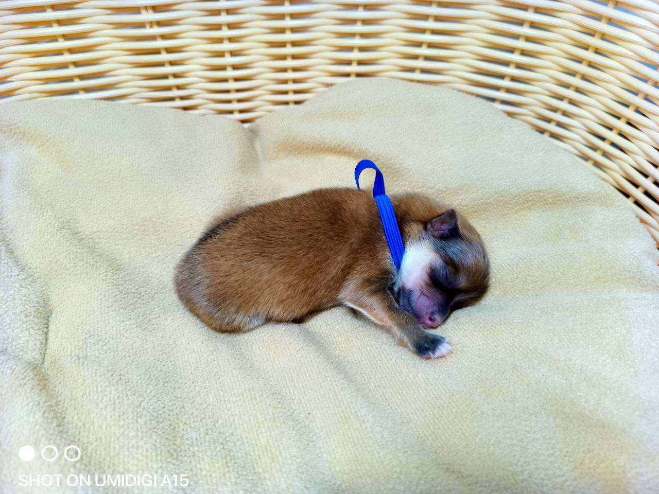 赤ちゃん写真1-2