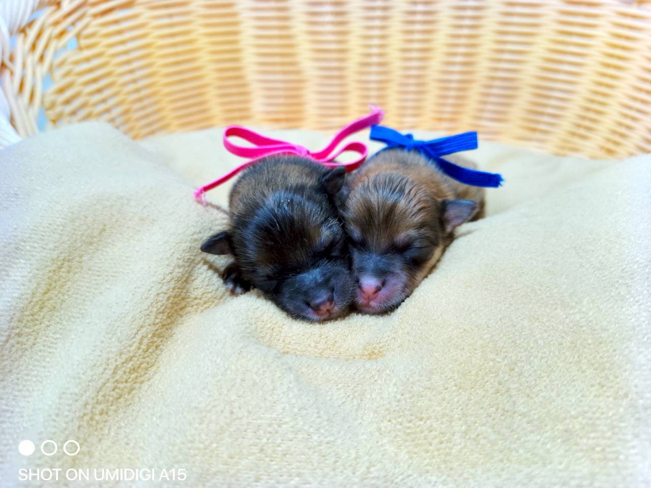 赤ちゃん写真1-3