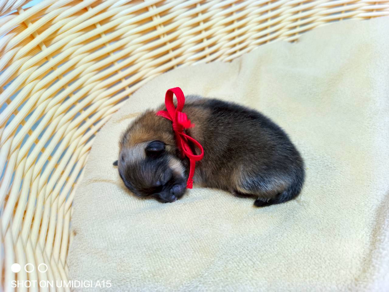 赤ちゃん写真1-2