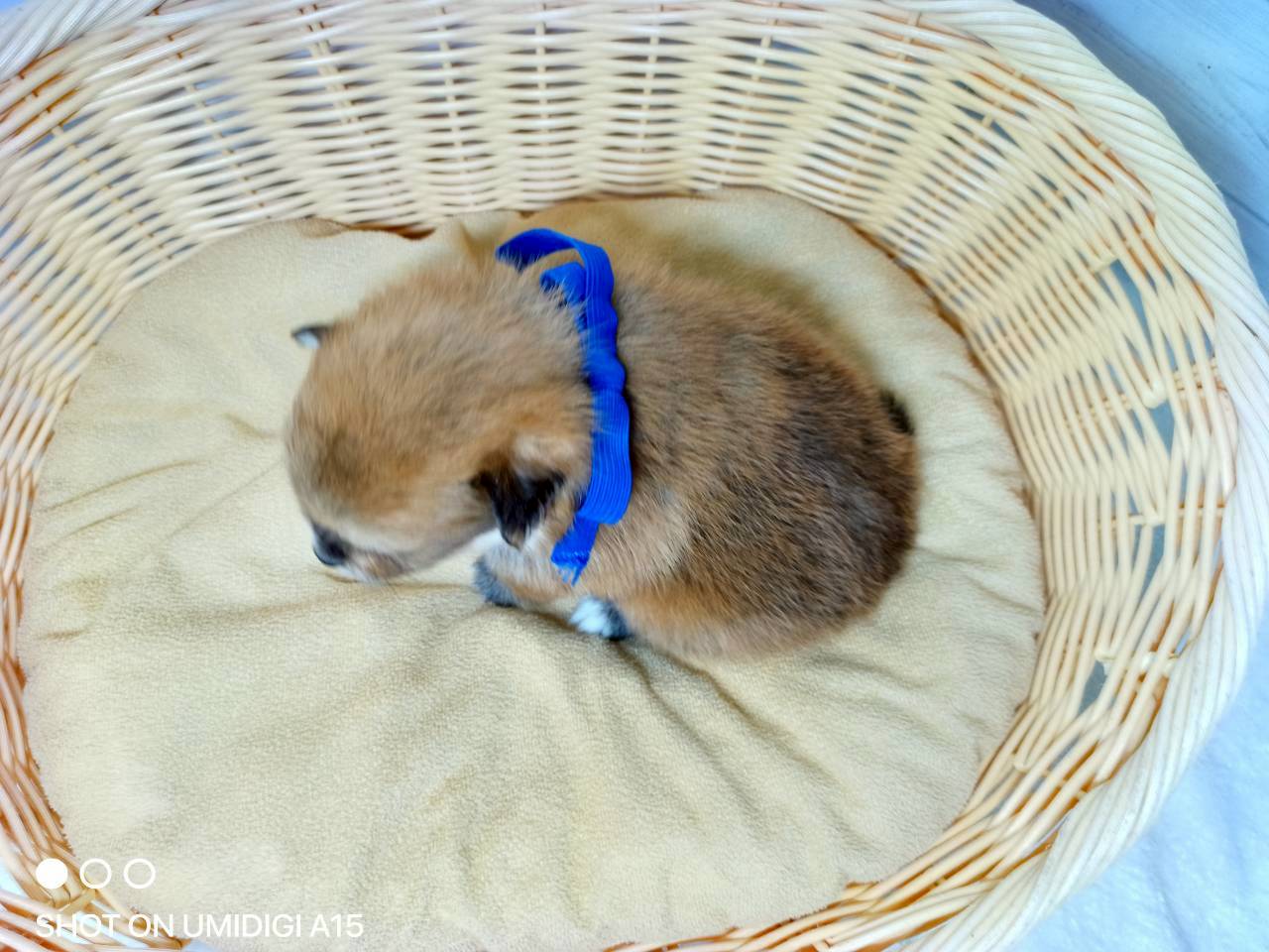 赤ちゃん写真2-3