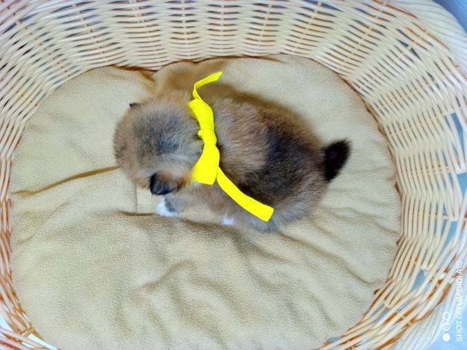 赤ちゃん写真2-3