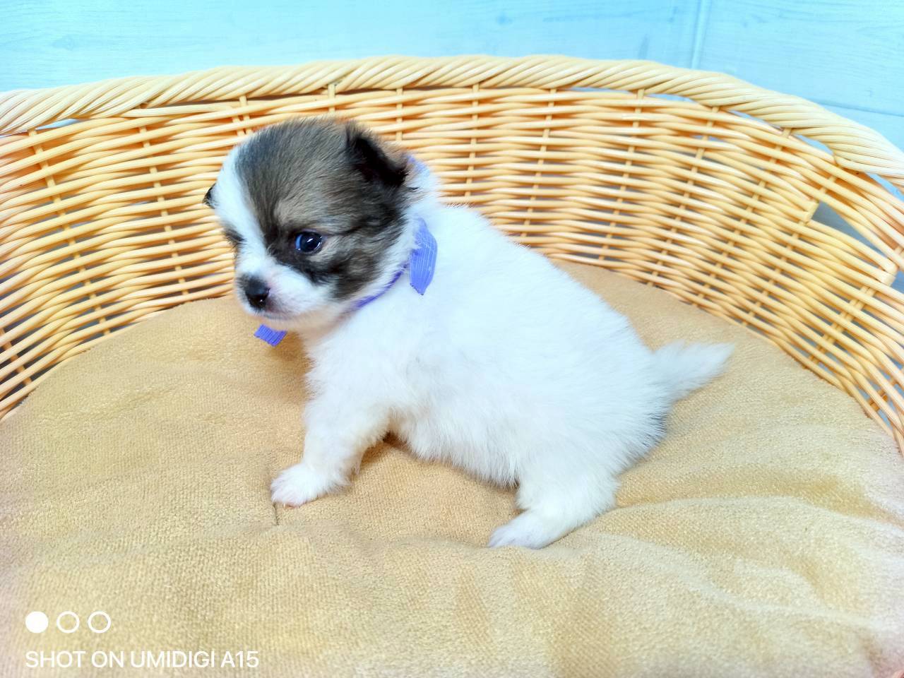 赤ちゃん写真2-2