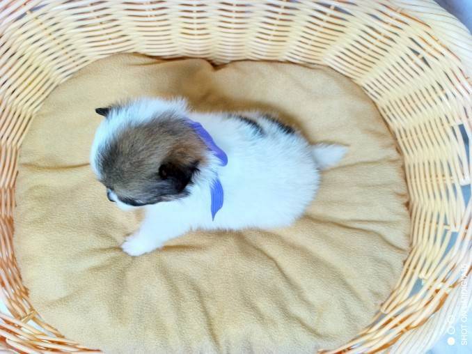 赤ちゃん写真2-3