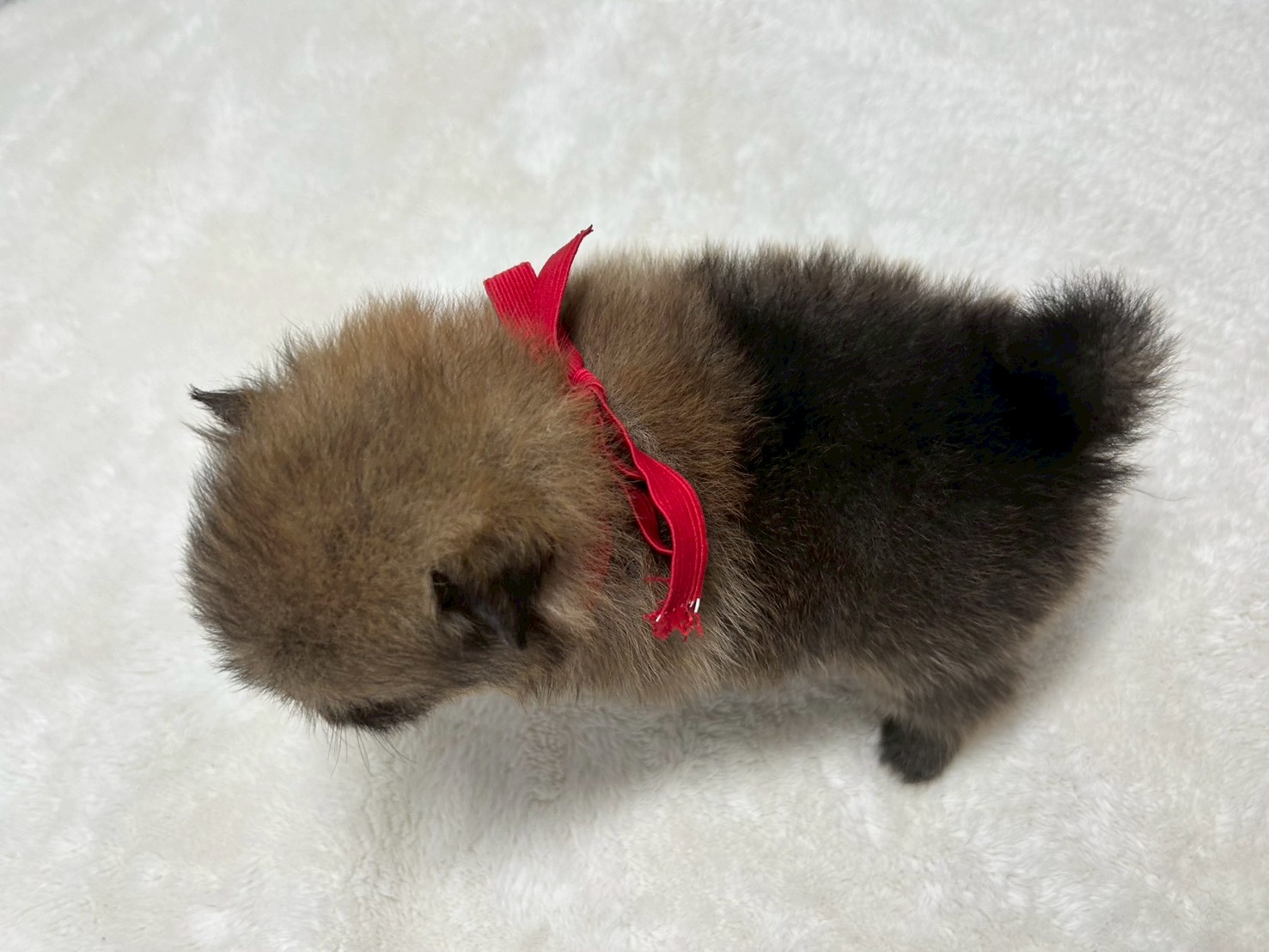 赤ちゃん写真2-3